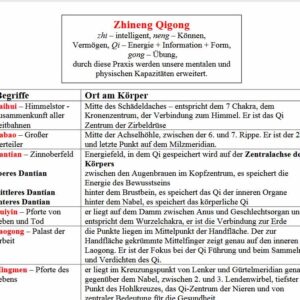 Zhineng Qigong Begriffe