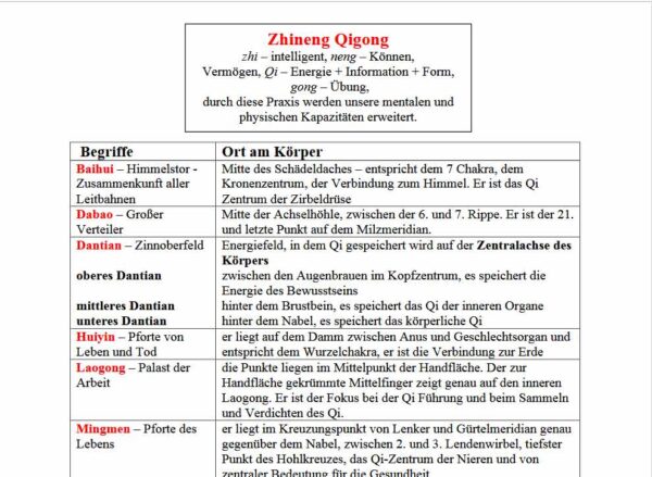 Zhineng Qigong Begriffe